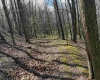TBD Behlar Road, Maidsville, West Virginia 26570, ,Lots/land,For Sale,Behlar,10164365