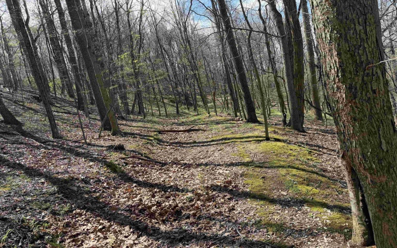 TBD Behlar Road, Maidsville, West Virginia 26570, ,Lots/land,For Sale,Behlar,10164365