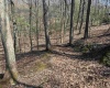 TBD Behlar Road, Maidsville, West Virginia 26570, ,Lots/land,For Sale,Behlar,10164365