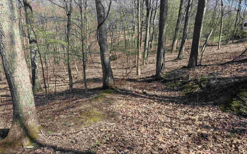 TBD Behlar Road, Maidsville, West Virginia 26570, ,Lots/land,For Sale,Behlar,10164365