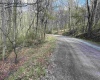 TBD Behlar Road, Maidsville, West Virginia 26570, ,Lots/land,For Sale,Behlar,10164365