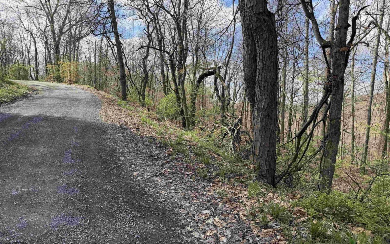 TBD Behlar Road, Maidsville, West Virginia 26570, ,Lots/land,For Sale,Behlar,10164365