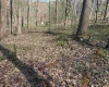 TBD Behlar Road, Maidsville, West Virginia 26570, ,Lots/land,For Sale,Behlar,10164365