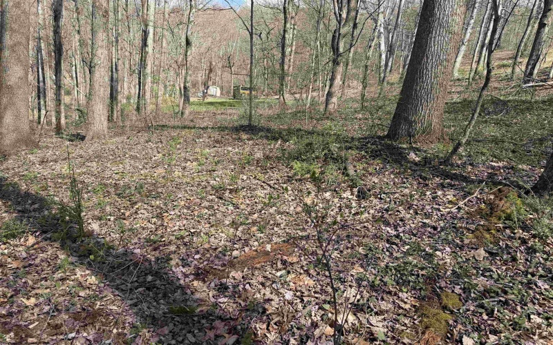 TBD Behlar Road, Maidsville, West Virginia 26570, ,Lots/land,For Sale,Behlar,10164365