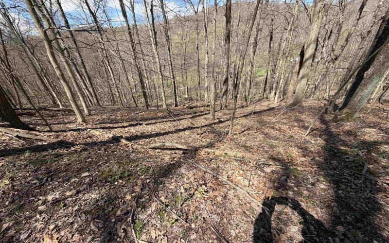 TBD Behlar Road, Maidsville, West Virginia 26570, ,Lots/land,For Sale,Behlar,10164365