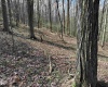 TBD Behlar Road, Maidsville, West Virginia 26570, ,Lots/land,For Sale,Behlar,10164365