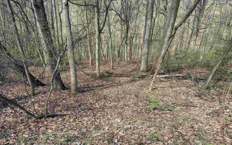 TBD Behlar Road, Maidsville, West Virginia 26570, ,Lots/land,For Sale,Behlar,10164365