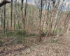 TBD Behlar Road, Maidsville, West Virginia 26570, ,Lots/land,For Sale,Behlar,10164365