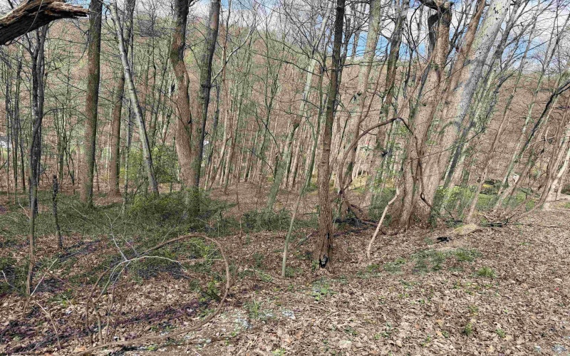 TBD Behlar Road, Maidsville, West Virginia 26570, ,Lots/land,For Sale,Behlar,10164365