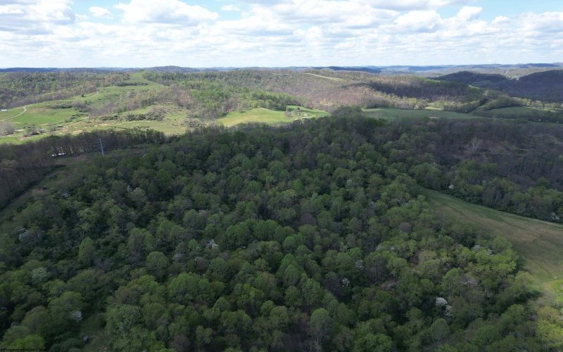 2397 Stevens Run Road, Mount Clare, West Virginia 26408, 4 Bedrooms Bedrooms, 8 Rooms Rooms,4 BathroomsBathrooms,Single Family Detached,For Sale,Stevens Run,10164370