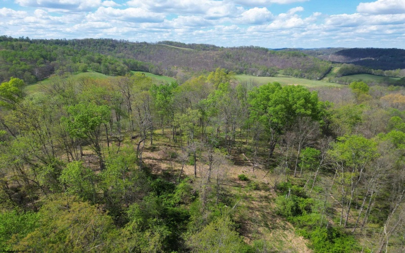 2397 Stevens Run Road, Mount Clare, West Virginia 26408, 4 Bedrooms Bedrooms, 8 Rooms Rooms,4 BathroomsBathrooms,Single Family Detached,For Sale,Stevens Run,10164370