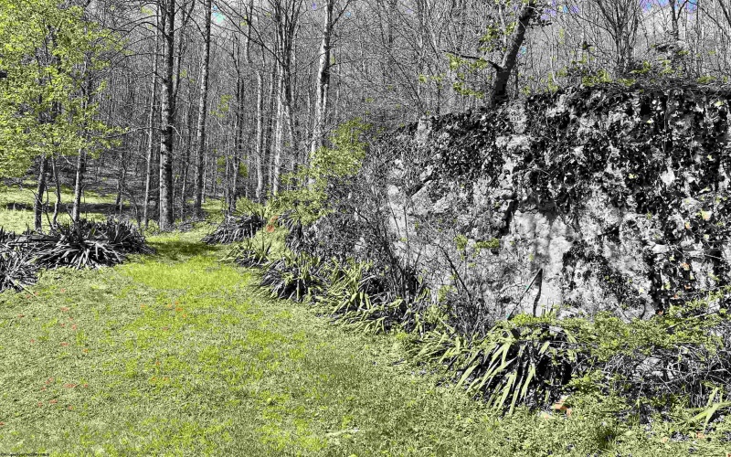 170 Gregorytown Road, Rock Cave, West Virginia 26234, 2 Bedrooms Bedrooms, 7 Rooms Rooms,1 BathroomBathrooms,Single Family Detached,For Sale,Gregorytown,10164366