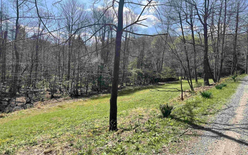 170 Gregorytown Road, Rock Cave, West Virginia 26234, 2 Bedrooms Bedrooms, 7 Rooms Rooms,1 BathroomBathrooms,Single Family Detached,For Sale,Gregorytown,10164366