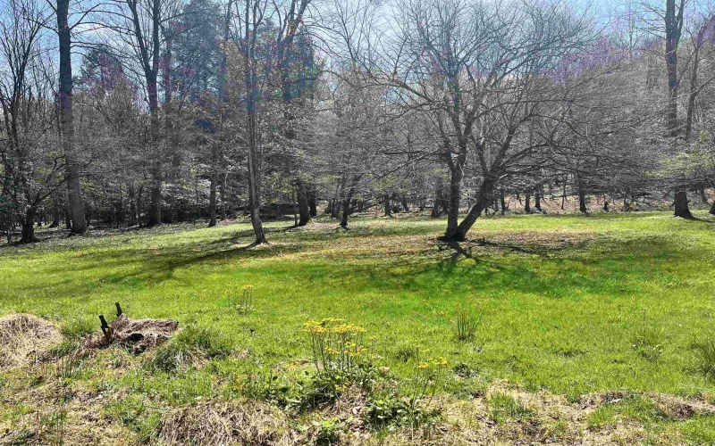 170 Gregorytown Road, Rock Cave, West Virginia 26234, 2 Bedrooms Bedrooms, 7 Rooms Rooms,1 BathroomBathrooms,Single Family Detached,For Sale,Gregorytown,10164366