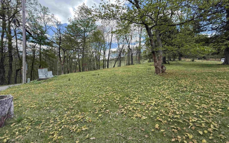 15 Browns Mountain Road, Hacker Valley, West Virginia 26222, 2 Bedrooms Bedrooms, 5 Rooms Rooms,1 BathroomBathrooms,Single Family Detached,For Sale,Mountain,10164383