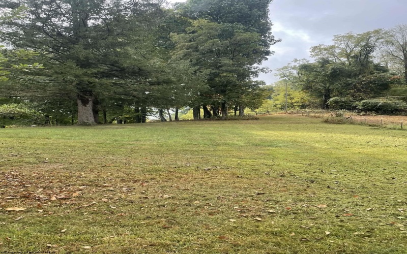 15 Browns Mountain Road, Hacker Valley, West Virginia 26222, 2 Bedrooms Bedrooms, 5 Rooms Rooms,1 BathroomBathrooms,Single Family Detached,For Sale,Mountain,10164383