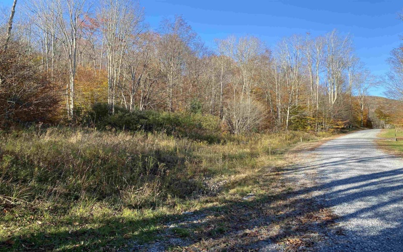 Lot 3 Northlake Development Drive, Davis, West Virginia 26260, ,Lots/land,For Sale,Northlake Development,10110991