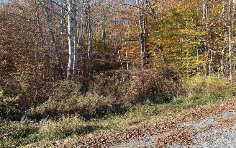 Lot 3 Northlake Development Drive, Davis, West Virginia 26260, ,Lots/land,For Sale,Northlake Development,10110991