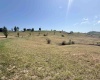 TBD Jennifer Avenue, Bridgeport, West Virginia 26330, ,Lots/land,For Sale,Jennifer,10156436