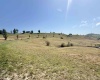 TBD Jennifer Avenue, Bridgeport, West Virginia 26330, ,Lots/land,For Sale,Jennifer,10156436