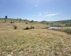 TBD Jennifer Avenue, Bridgeport, West Virginia 26330, ,Lots/land,For Sale,Jennifer,10156436