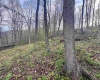 Lot 1 Low Gap Run Road, Littleton, West Virginia 26581, ,Lots/land,For Sale,Low Gap Run,10164389