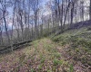 Lot 1 Low Gap Run Road, Littleton, West Virginia 26581, ,Lots/land,For Sale,Low Gap Run,10164389