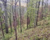 Lot 1 Low Gap Run Road, Littleton, West Virginia 26581, ,Lots/land,For Sale,Low Gap Run,10164389