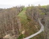 Lot 1 Low Gap Run Road, Littleton, West Virginia 26581, ,Lots/land,For Sale,Low Gap Run,10164389