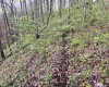 Lot 1 Low Gap Run Road, Littleton, West Virginia 26581, ,Lots/land,For Sale,Low Gap Run,10164389