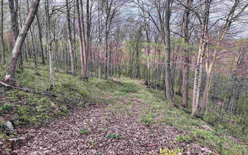 Lot 1 Low Gap Run Road, Littleton, West Virginia 26581, ,Lots/land,For Sale,Low Gap Run,10164389