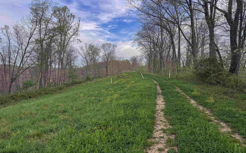 Lot 1 Low Gap Run Road, Littleton, West Virginia 26581, ,Lots/land,For Sale,Low Gap Run,10164389