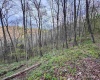Lot 1 Low Gap Run Road, Littleton, West Virginia 26581, ,Lots/land,For Sale,Low Gap Run,10164389