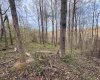 Lot 1 Low Gap Run Road, Littleton, West Virginia 26581, ,Lots/land,For Sale,Low Gap Run,10164389
