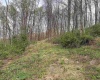 Lot 1 Low Gap Run Road, Littleton, West Virginia 26581, ,Lots/land,For Sale,Low Gap Run,10164389