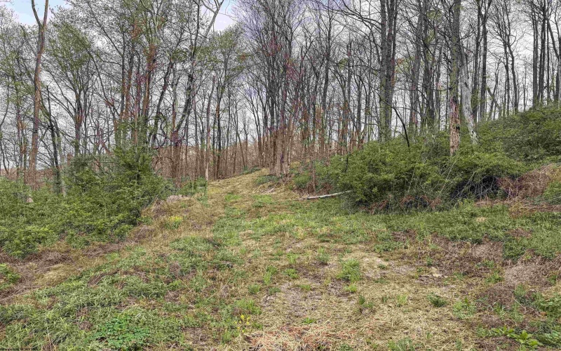 Lot 1 Low Gap Run Road, Littleton, West Virginia 26581, ,Lots/land,For Sale,Low Gap Run,10164389