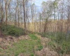 Lot 1 Low Gap Run Road, Littleton, West Virginia 26581, ,Lots/land,For Sale,Low Gap Run,10164389