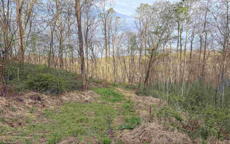 Lot 1 Low Gap Run Road, Littleton, West Virginia 26581, ,Lots/land,For Sale,Low Gap Run,10164389