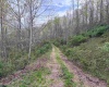 Lot 1 Low Gap Run Road, Littleton, West Virginia 26581, ,Lots/land,For Sale,Low Gap Run,10164389