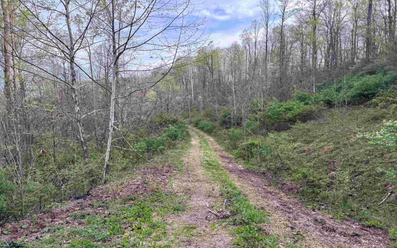 Lot 1 Low Gap Run Road, Littleton, West Virginia 26581, ,Lots/land,For Sale,Low Gap Run,10164389