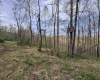 Lot 1 Low Gap Run Road, Littleton, West Virginia 26581, ,Lots/land,For Sale,Low Gap Run,10164389