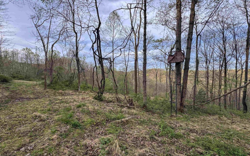 Lot 1 Low Gap Run Road, Littleton, West Virginia 26581, ,Lots/land,For Sale,Low Gap Run,10164389