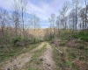 Lot 1 Low Gap Run Road, Littleton, West Virginia 26581, ,Lots/land,For Sale,Low Gap Run,10164389