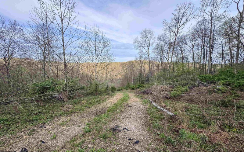 Lot 1 Low Gap Run Road, Littleton, West Virginia 26581, ,Lots/land,For Sale,Low Gap Run,10164389