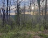 Lot 1 Low Gap Run Road, Littleton, West Virginia 26581, ,Lots/land,For Sale,Low Gap Run,10164389