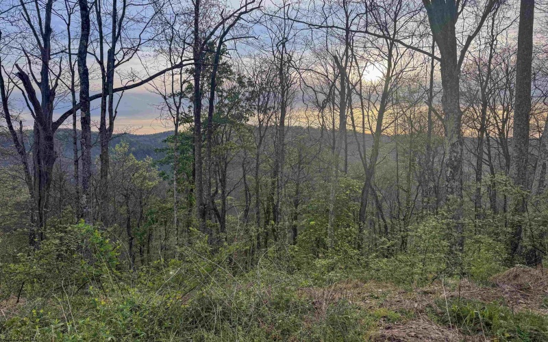 Lot 1 Low Gap Run Road, Littleton, West Virginia 26581, ,Lots/land,For Sale,Low Gap Run,10164389
