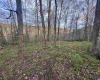 Lot 1 Low Gap Run Road, Littleton, West Virginia 26581, ,Lots/land,For Sale,Low Gap Run,10164389