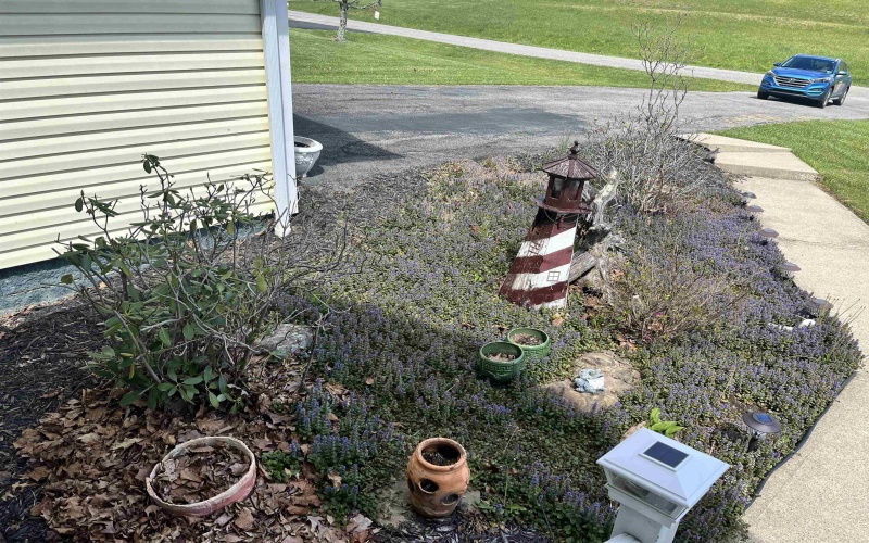 139 Evergreen Drive, Buckhannon, West Virginia 26201, 3 Bedrooms Bedrooms, 7 Rooms Rooms,2 BathroomsBathrooms,Single Family Detached,For Sale,Evergreen,10164387