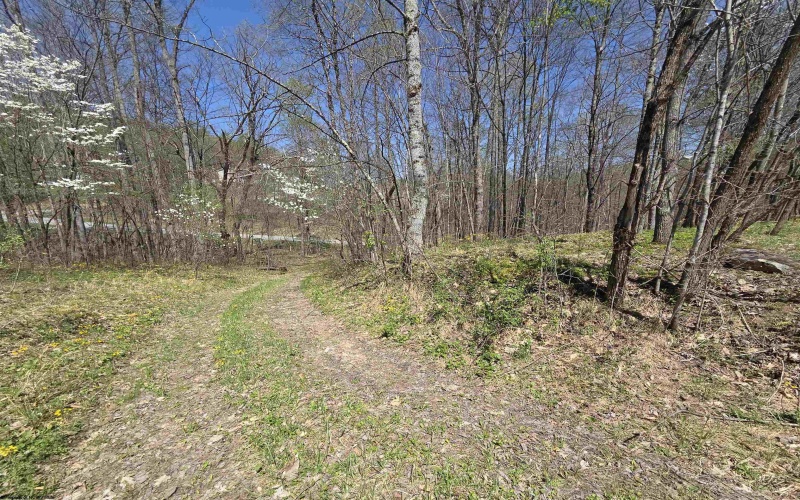 Lot 6 Deerbrook Estates, Belington, West Virginia 26250, ,Lots/land,For Sale,Deerbrook,10164395