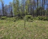 Lot 6 Deerbrook Estates, Belington, West Virginia 26250, ,Lots/land,For Sale,Deerbrook,10164395